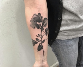 2019-01-05_tattoo_kiev01