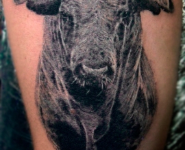 2019-04-23_tattoo_kiev28